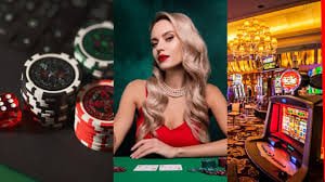 Live Casino salotgame
